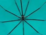 Зонт женский Zicco, арт.2992-3_product